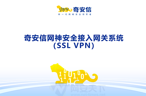 奇安信網(wǎng)神安全接入網(wǎng)關(guān)系統(tǒng)（SSL VPN）